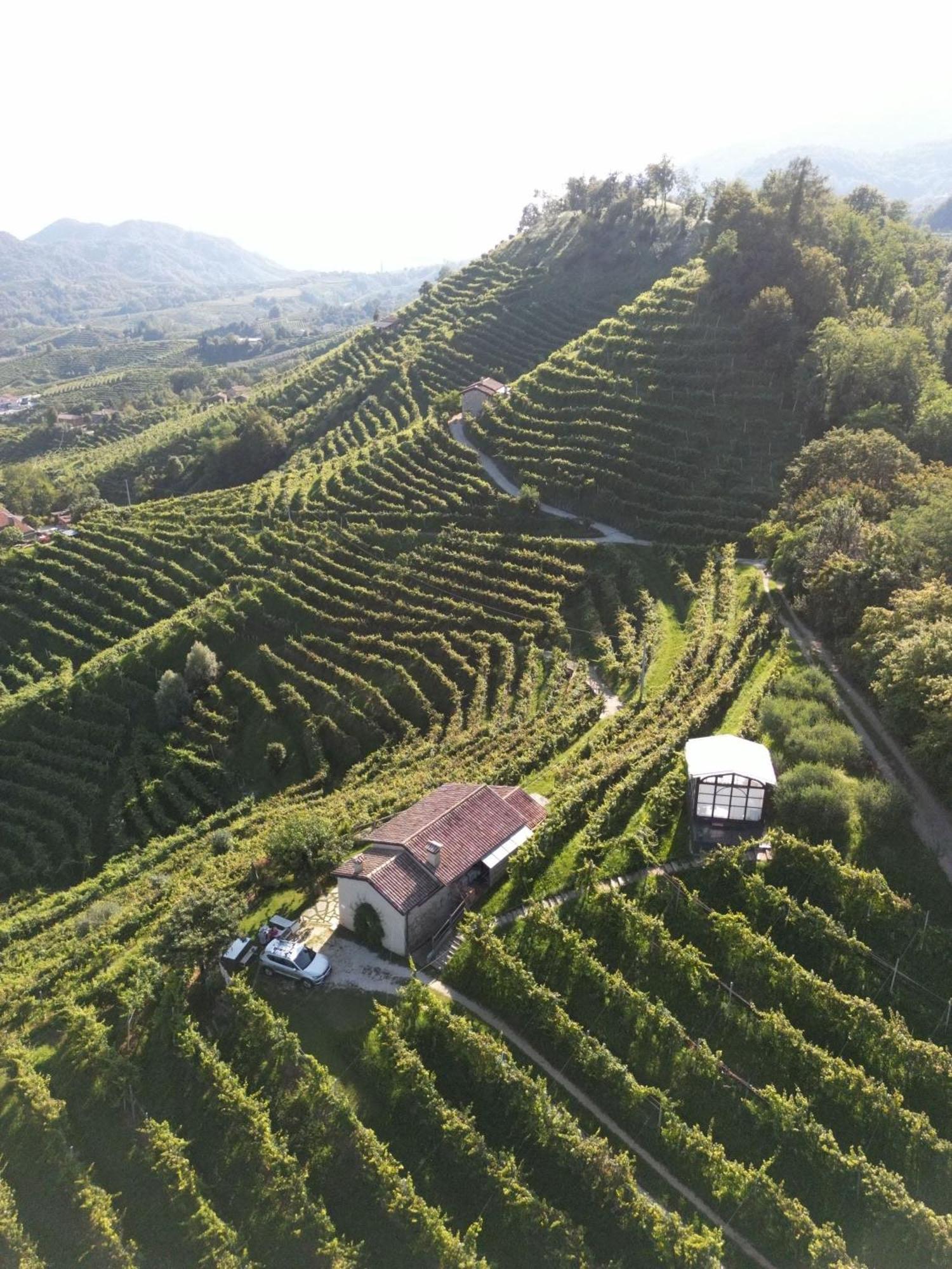Agriturismo Il Conte Vassallo Miane Екстериор снимка